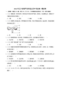 2024年辽宁省葫芦岛市连山区中考一模生物试卷