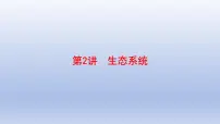2025年初中生物会考一轮复习课件：第2讲 生态系统