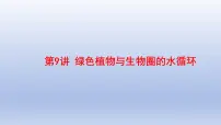 2025年初中生物会考一轮复习课件：第9讲 绿色植物与生物圈的水循环