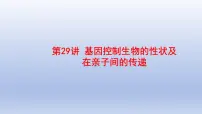 2025年初中生物会考一轮复习课件：第29讲 基因控制生物的性状及在亲子间的传递