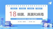 专题18 细菌、真菌和病毒（课件）-2025年中考生物一轮复习