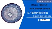 初中生物苏教版（2024）七年级下册（2024）植物的营养器官示范课ppt课件