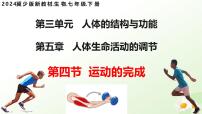 初中生物冀少版（2024）七年级下册（2024）运动的完成教课ppt课件