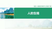 初中生物人的生殖课文内容ppt课件
