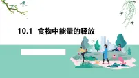 初中生物北师大版（2024）七年级下册（2024）食物中能量的释放教学课件ppt