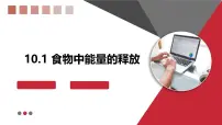 北师大版（2024）七年级下册（2024）食物中能量的释放教课内容课件ppt