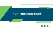 北师大版（2024）七年级下册（2024）食物中能量的释放课文配套课件ppt