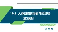 生物七年级下册（2024）人体细胞获得氧气的过程备课课件ppt
