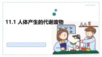 初中生物北师大版（2024）七年级下册（2024）人体产生的代谢废物教课课件ppt