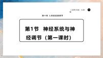 生物七年级下册（2024）神经系统与神经调节课文课件ppt