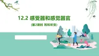 初中生物北师大版（2024）七年级下册（2024）感受器和感觉器官集体备课ppt课件