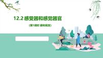初中生物北师大版（2024）七年级下册（2024）感受器和感觉器官背景图ppt课件