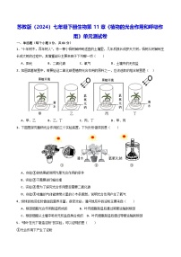 初中生物苏教版（2024）七年级下册（2024）第3节 光合作用和呼吸作用单元测试一课一练