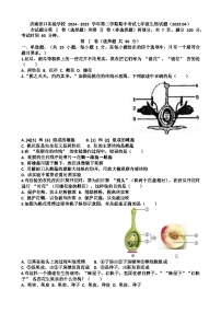 2024—2025年济南天桥区泺口实验学校第二学期七年级生物期中考试试题（含答案）