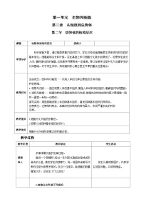 初中生物人教版（2024）七年级上册（2024）动物体的结构层次一等奖教案设计