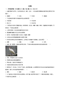 2025年广西桂林市第十八中学八年级中考一模生物试题（原卷版+解析版）