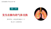 初中生物人教版（2024）七年级下册（2024）发生在肺内的气体交换图片ppt课件