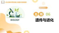 主题六 遗传与进化（精讲课件）2025年中考生物二轮复习讲练测（全国通用）