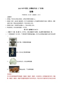 2025年中考第二次模拟考试卷：生物（广西卷）（解析版）