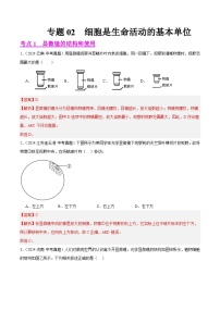 备战2025年中考生物真题分类汇编(全国通用)专题02细胞是生命活动的基本单位(第01期)(学生版+解析)