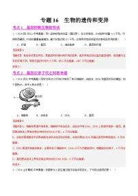 备战2025年中考生物真题分类汇编(全国通用)专题16生物的遗传和变异(第01期)(学生版+解析)