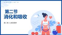 人教版（2024）七年级下册（2024）消化和吸收教学课件ppt