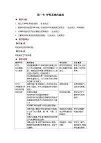 初中生物冀少版（2024）七年级下册（2024）呼吸系统的组成教案