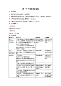 初中生物冀少版（2024）七年级下册（2024）呼吸系统的组成教案