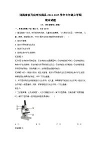 河南省驻马店市汝南县2024-2025学年七年级上学期期末生物试卷（解析版）