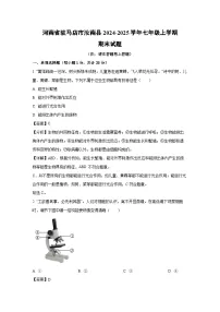 河南省驻马店市汝南县2024-2025学年七年级上学期期末生物试卷（解析版）