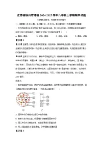 江苏省徐州市沛县2024-2025学年八年级上学期期中生物试卷（解析版）