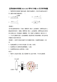江苏省徐州市某校2024-2025学年八年级10月月考学生物试卷（解析版）