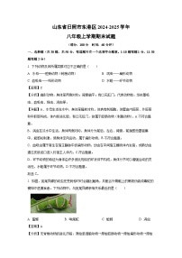 山东省日照市东港区2024-2025学年八年级上学期期末生物试卷（解析版）