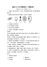 备战2025年中考模拟卷03（海南专用）生物试卷（解析版）