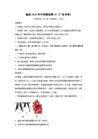 备战2025年中考模拟卷03（广东专用）生物试卷（解析版）