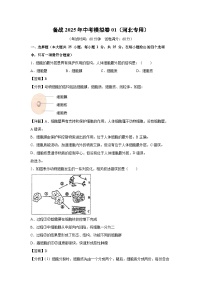 备战2025年中考模拟卷01（河北专用）生物试卷（解析版）