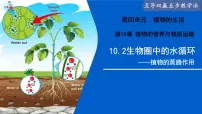 苏教版（2024）七年级下册（2024）生物圈中的水循环教学ppt课件
