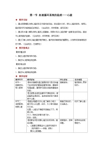 初中生物冀少版（2024）七年级下册（2024）心脏教案