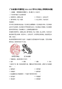 广东省惠州市惠阳区2024-2025学年七年级上学期期末生物试卷（解析版）