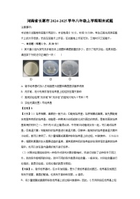 河南省长葛市2024-2025学年八年级上学期期末生物试卷（解析版）