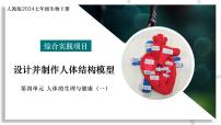 初中生物设计并制作人体结构模型教学课件ppt