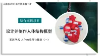 初中生物设计并制作人体结构模型教学课件ppt