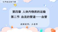 初中生物人教版（2024）七年级下册（2024）血流的管道—血管教课ppt课件