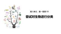 初中生物人教版（2024）七年级上册（2024）尝试对生物进行分类课文内容ppt课件