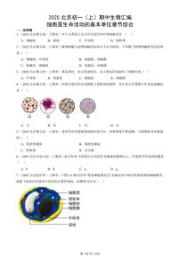 2025北京初一（上）期中真题生物汇编：细胞是生命活动的基本单位章节综合