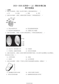 2023—2025北京初一（上）期末真题生物汇编：种子的萌发