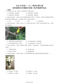 2025北京初一（上）期末真题生物汇编：绿色植物与生物圈中的碳一氧平衡章节综合