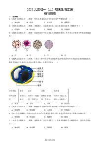 2025北京初一（上）期末真题生物汇编：植物细胞