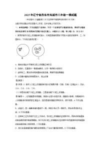 2025年辽宁省丹东市凤城市八年级一模生物试题（解析版）
