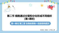 初中生物细胞通过分裂和分化形成不同组织教案配套课件ppt